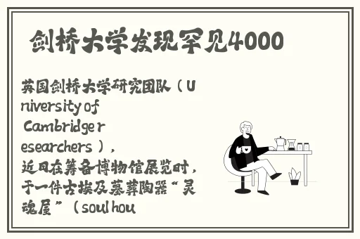 猫咪3.0版本